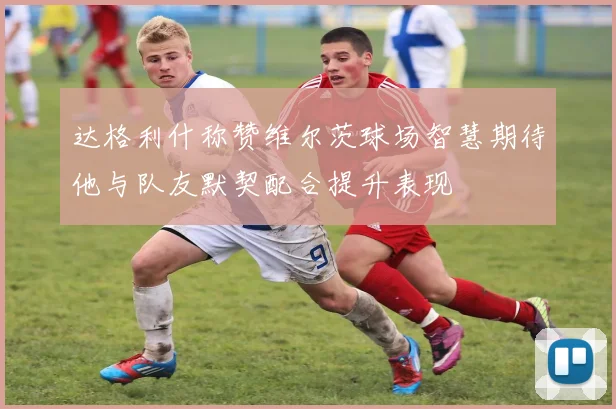 达格利什称赞维尔茨球场智慧期待他与队友默契配合提升表现