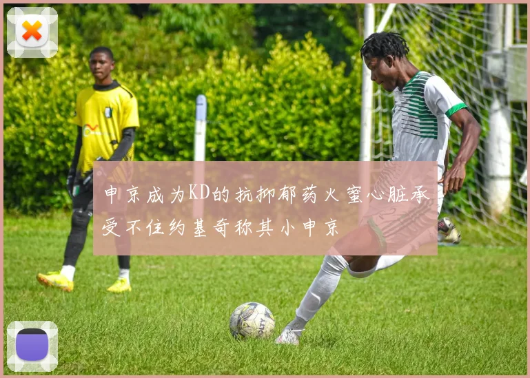 申京成为KD的抗抑郁药火蜜心脏承受不住约基奇称其小申京