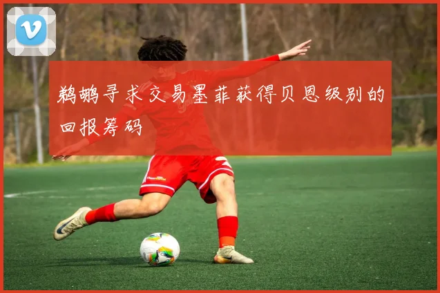 鹈鹕寻求交易墨菲获得贝恩级别的回报筹码