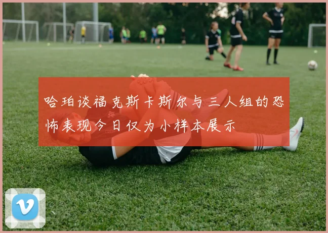 哈珀谈福克斯卡斯尔与三人组的恐怖表现今日仅为小样本展示