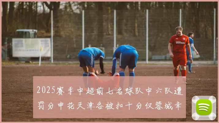 2025赛季中超前七名球队中六队遭罚分申花天津各被扣十分仅蓉城幸免