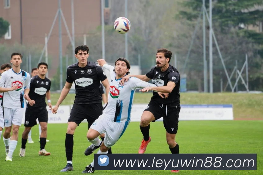 乐鱼体育平台生态图