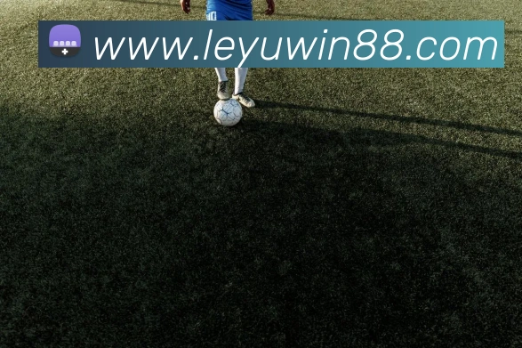 乐鱼体育APP 封面图