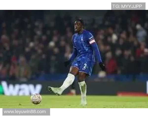 切尔西冬窗计划引进后卫范戴克或成目标再度发起询问